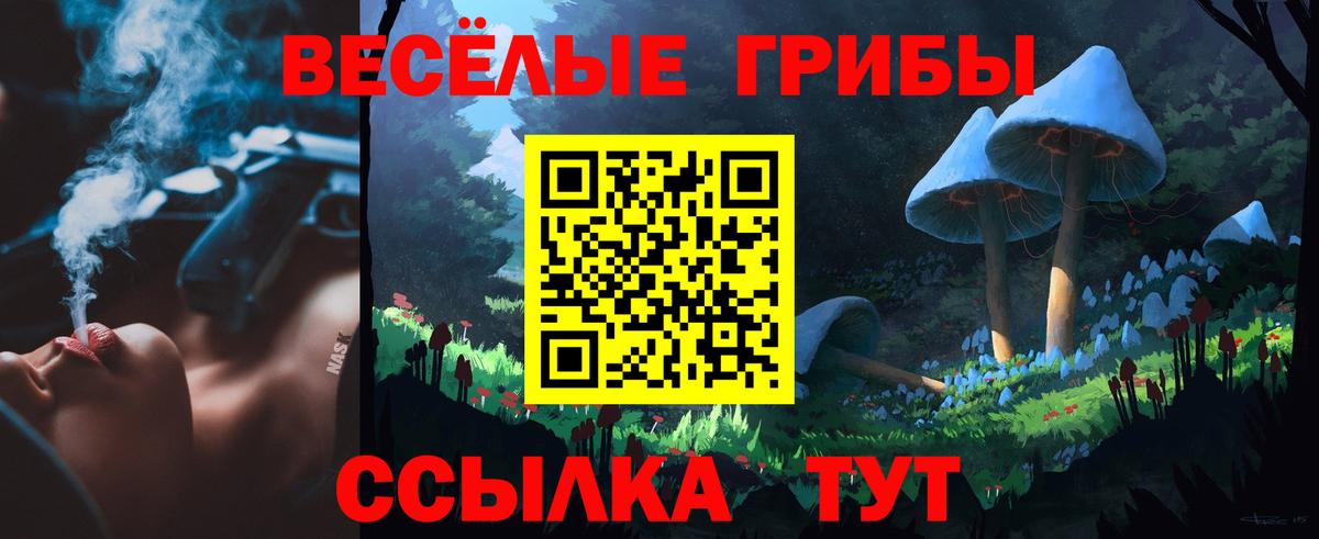 Галлюциногенные грибы Psilocybe Махачкала